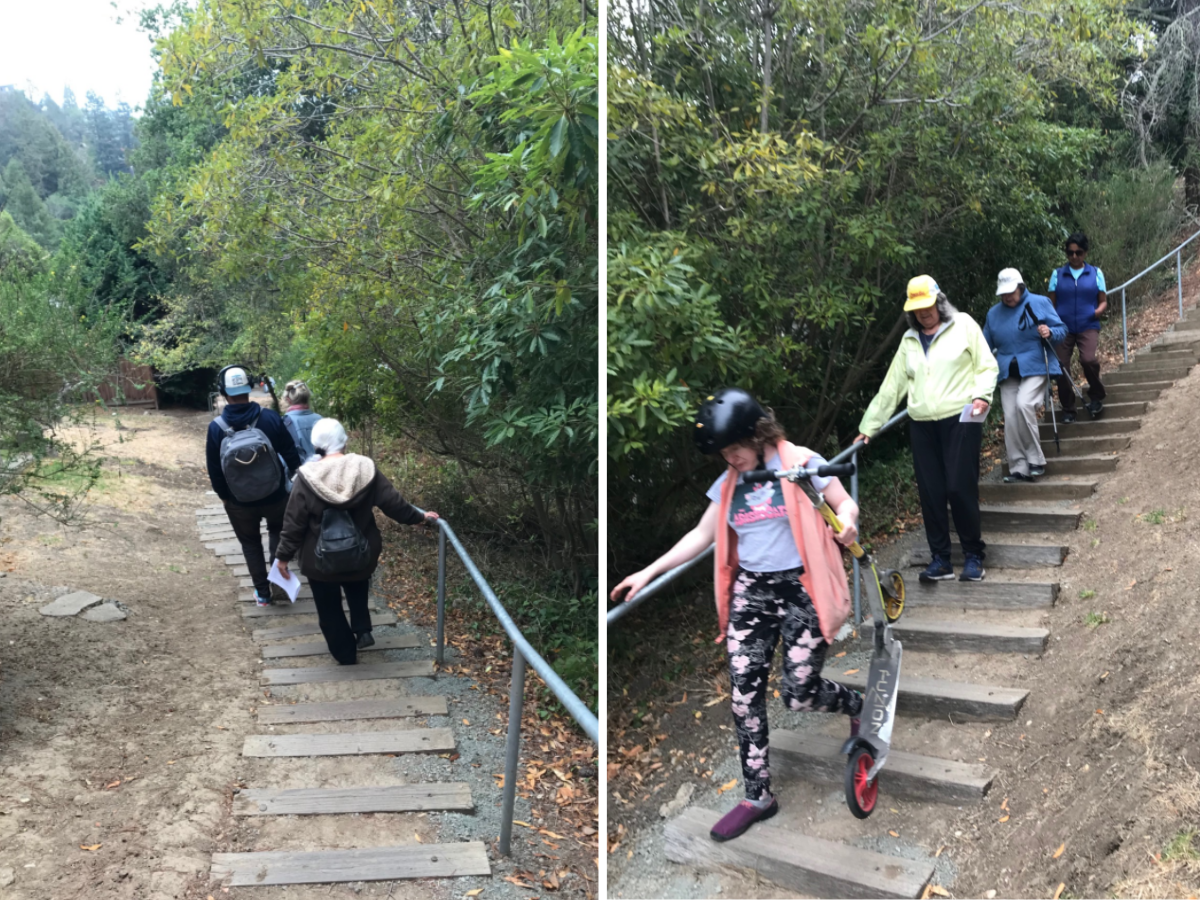 A lesson in how to escape wildfire by foot in the Berkeley Hills